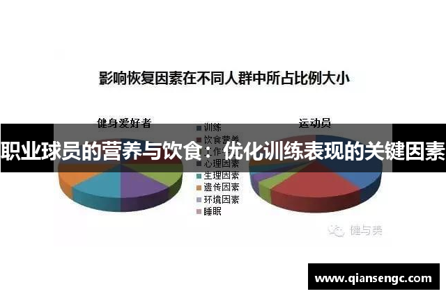 职业球员的营养与饮食：优化训练表现的关键因素